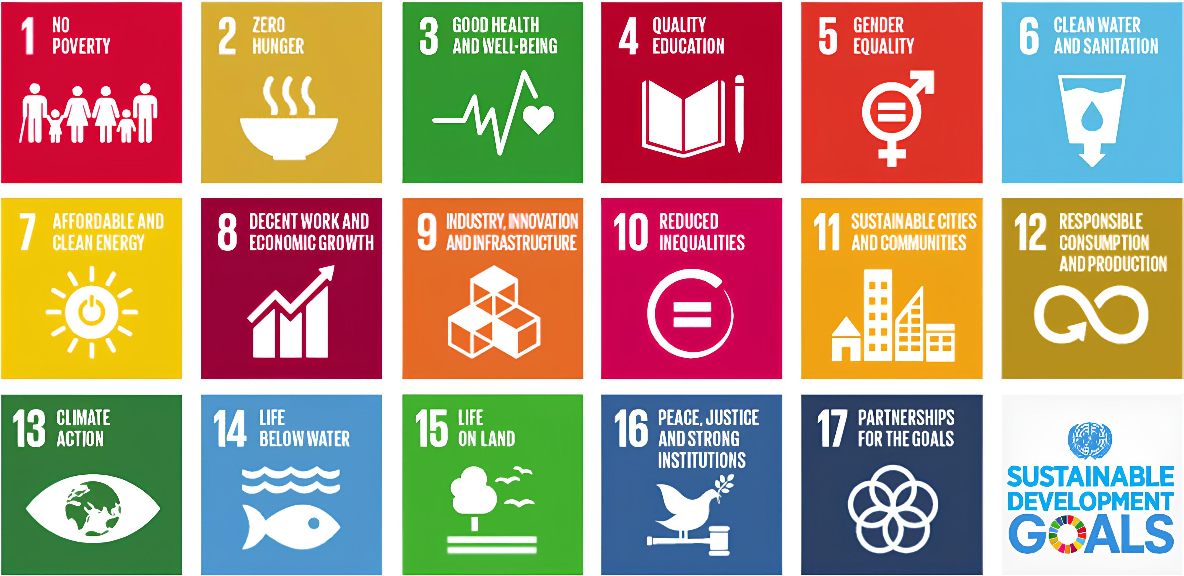 17 Sustainable Development Goals